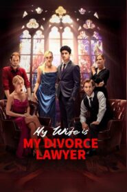 My Wife Is My Divorce Lawyer