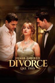Never Enjoyed Divorce Like This