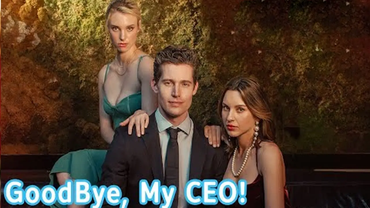 Goodbye, My CEO