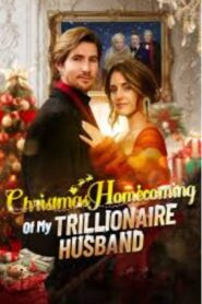 Christmas Homecoming Of My Trillionaire Husband
