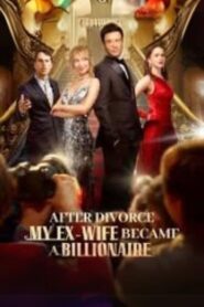 After Divorce, My Ex Wife Became a Billionaire