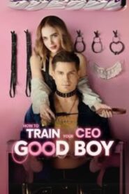 How to Train Your CEO Good Boy