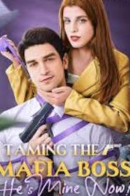 Taming the Mafia Boss, He’s Mine Now !